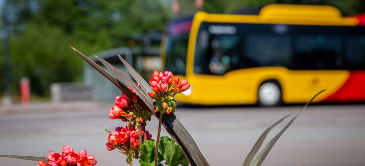 Bild på buss från Kalmar länstrafik
