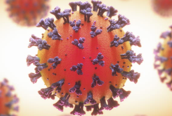 En bild på viruset som orsakar covid-19.
