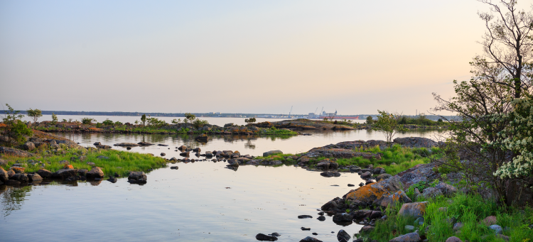 Bilden föreställer en kustremsa i Kalmar län med stenar, träd och vatten.