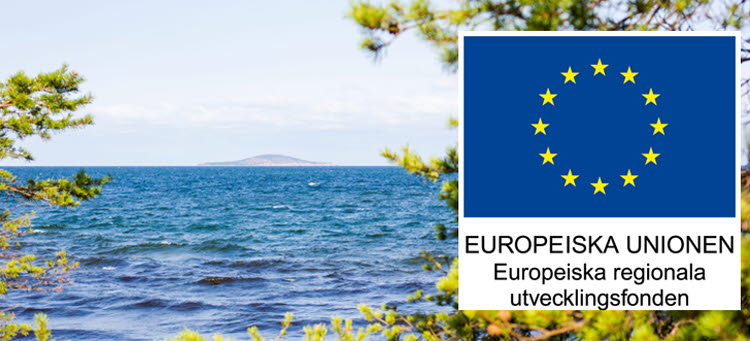 EU-flagga