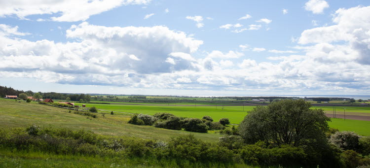Sommarlandskap med gröna åkrar, utsikt över Öland mot fastlandet och Kalmarsund.