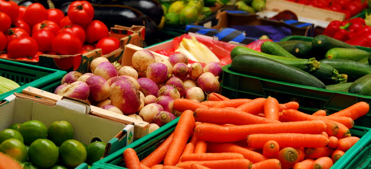 Olika sorters grönsaker i lådor.