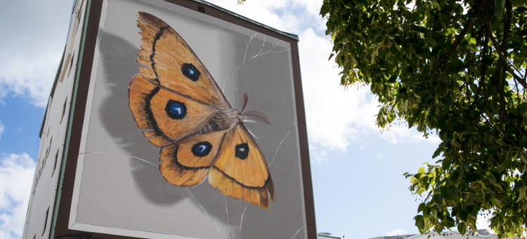 Streetart, stor fjäril målad på en av byggnaderna på Västerviks sjukhus.